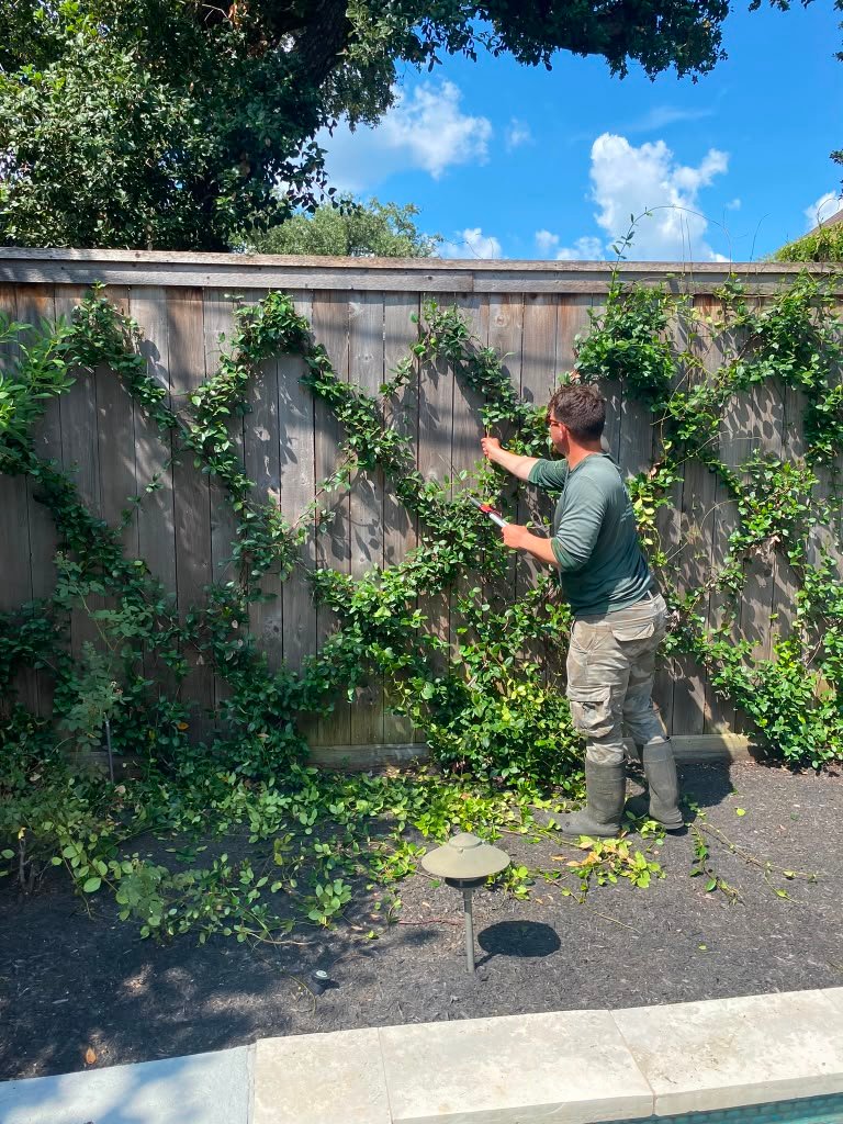 Residential lawn mowing and property maintenance work